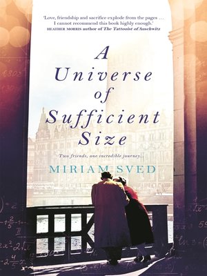 cover image of A Universe of Sufficient Size
